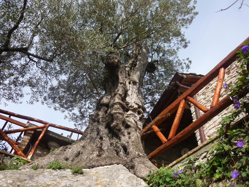 Bed and Breakfast Rocca Del Vento San Pantaleone Zewnętrze zdjęcie