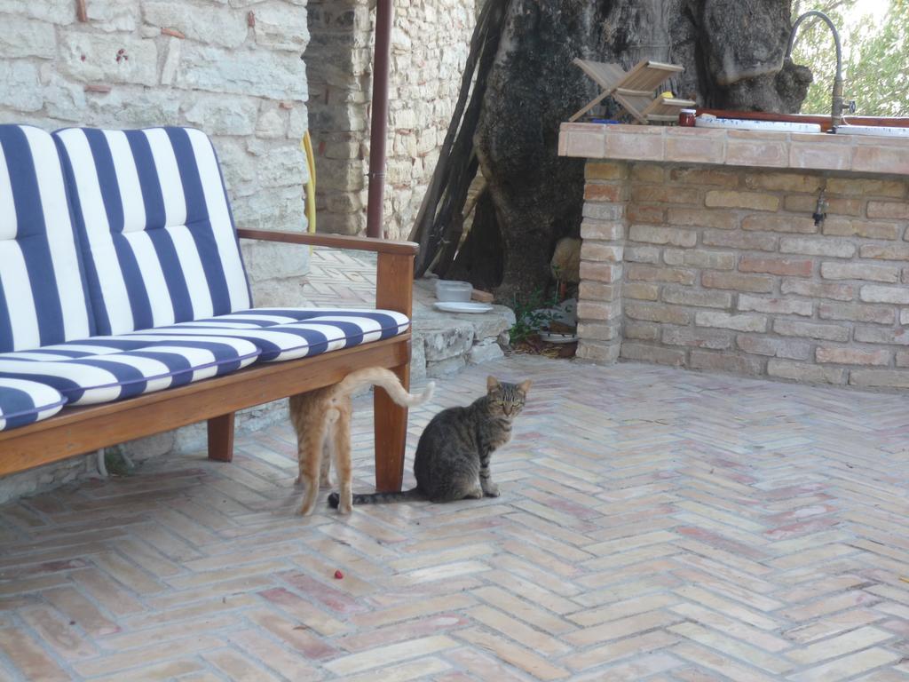 Bed and Breakfast Rocca Del Vento San Pantaleone Zewnętrze zdjęcie